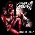 PROCESS FOR ENIGMA Seeds Of Evil EP album cover