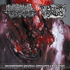PULMONARY FIBROSIS Decomposing Cranial Contents 2 Way Split album cover