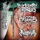 PULMONARY FIBROSIS Haggus / Pulmonary Fibrosis / Inopexia album cover