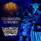 PULMONARY FIBROSIS Meningococcemia Fecal / Bbarbapappa Butchery / Pulmonary Fibrosis album cover