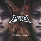 PURE The Flap Of Wings album cover