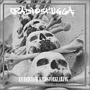 RADIOSKUGGA En Estetisk Krigsförklaring album cover