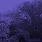 RAEDON KONG — Raedon Kong album cover