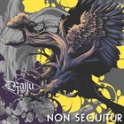 RAIJU Non Sequitur album cover