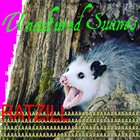 RATZILLA Uncultured Swines album cover