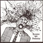 REASON OF INSANITY Bread And Water / Reason Of Insanity album cover