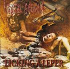 RECTAL SMEGMA Licking a Leper album cover