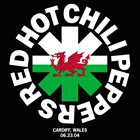 RED HOT CHILI PEPPERS Cardiff, Wales (6/23/04) album cover