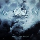 REG3N Perpetual Bloom album cover