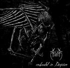REVOLTER Enshrouded in Deception album cover