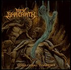 REX SHACHATH Sepulchral Torment album cover