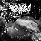RHYOLITE Pulchritude album cover