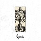 RITUALS (AZ) Rituals album cover
