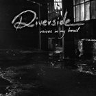 RIVERSIDE — Voices in My Head album cover