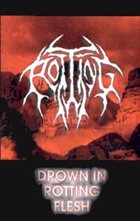 ROTTING Drown in Rotting Flesh album cover