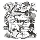 RUBYCONE Fish​-​Horse album cover