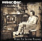 RUBYCONE — Pictures of Susceptible Housewives album cover