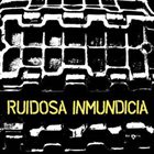 RUIDOSA INMUNDICIA Discografia 2004-2010 album cover