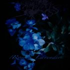 SADNESS Rose / Lavender album cover