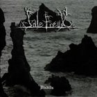 SALE FREUX Vindilis album cover