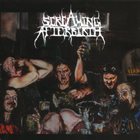 SCREAMING AFTERBIRTH Drunk on Feces album cover