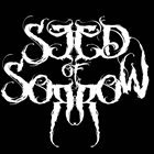 SEED OF SORROW Vice Like Grip album cover