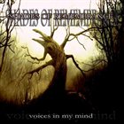 SHADES OF REMEMBRANCE Voices In My Mind album cover