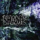 SHAME (OK) Failure To Understand The Human Condition album cover