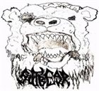 SHITBEAR Shitbear album cover