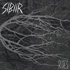 SIBIIR Ropes album cover