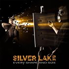 SILVER LAKE Every Shape And Size album cover