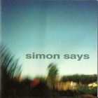 SIMON SAYS Perfect Example album cover