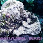 SKULLFLOWER Purity album cover