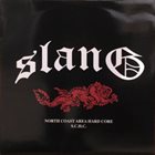 SLANG Skilled Rhythm Kills album cover