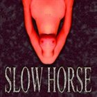 SLOW HORSE II album cover