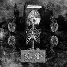 SLUND Brain Dysfunction album cover