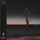 SOMA PLUME In The Black Water album cover