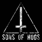 SONS OF HOGS Promo 2014 album cover