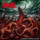 SOUL OF SLAMMING Agresi Prematur album cover