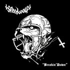 SPEEDWOLF Breakin' Down / Shock Troopers album cover
