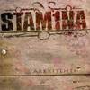 STAM1NA Arkkitehti album cover