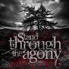 STAND THROUGH THE AGONY Demo 2011 album cover