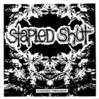 STAPLED SHUT Stapled Shut / Despise You album cover