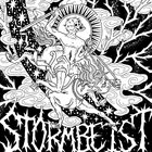 STORMBEIST Djevel; Reinkarnert album cover