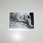 SUNN O))) White album cover