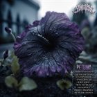 SURGEON (MN) Petunia album cover