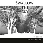 SWALLOW THE SKY We See You For What You Are album cover