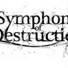 SYMPHONY OF DESTRUCTION The Roads To Despair album cover