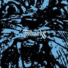 TEETHMARKS I album cover