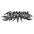 TERMINAL DISCHARGE Terminal Discharge album cover